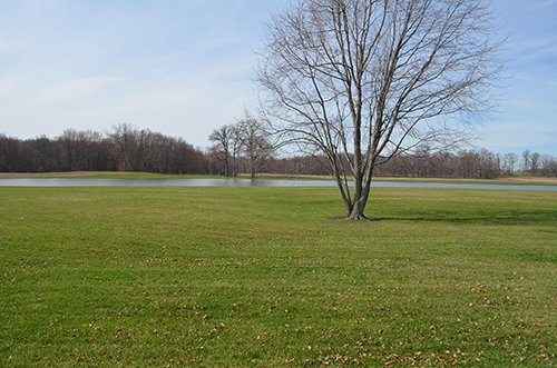 Property photo 74 - REAL ESTATE & PERSONAL PROPERTY AUCTION, 140 Acres offered in 8 Tracts or Combinations in Steuben County